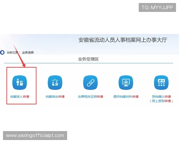 亚星登录入口官网登录流程详细步骤及注意事项