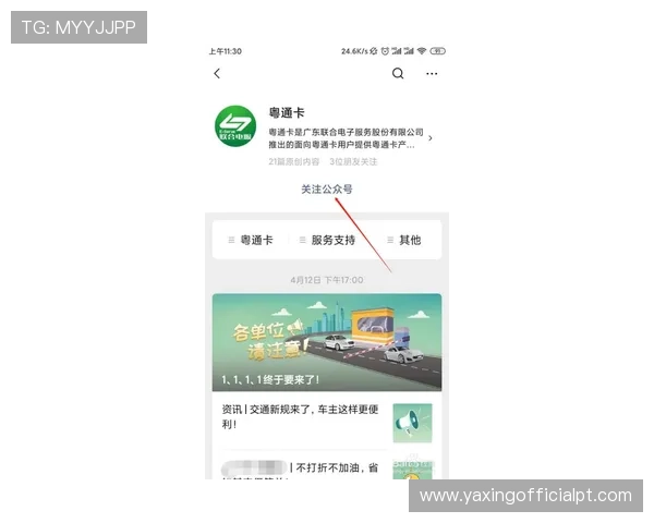 快速了解亚星yaxin222登录方式的常用技巧，优化您的登录体验